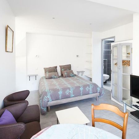 Studio Le Nid Du Saleys Apartment Salies-de-Béarn Екстериор снимка