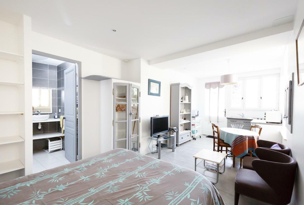 Studio Le Nid Du Saleys Apartment Salies-de-Béarn Екстериор снимка